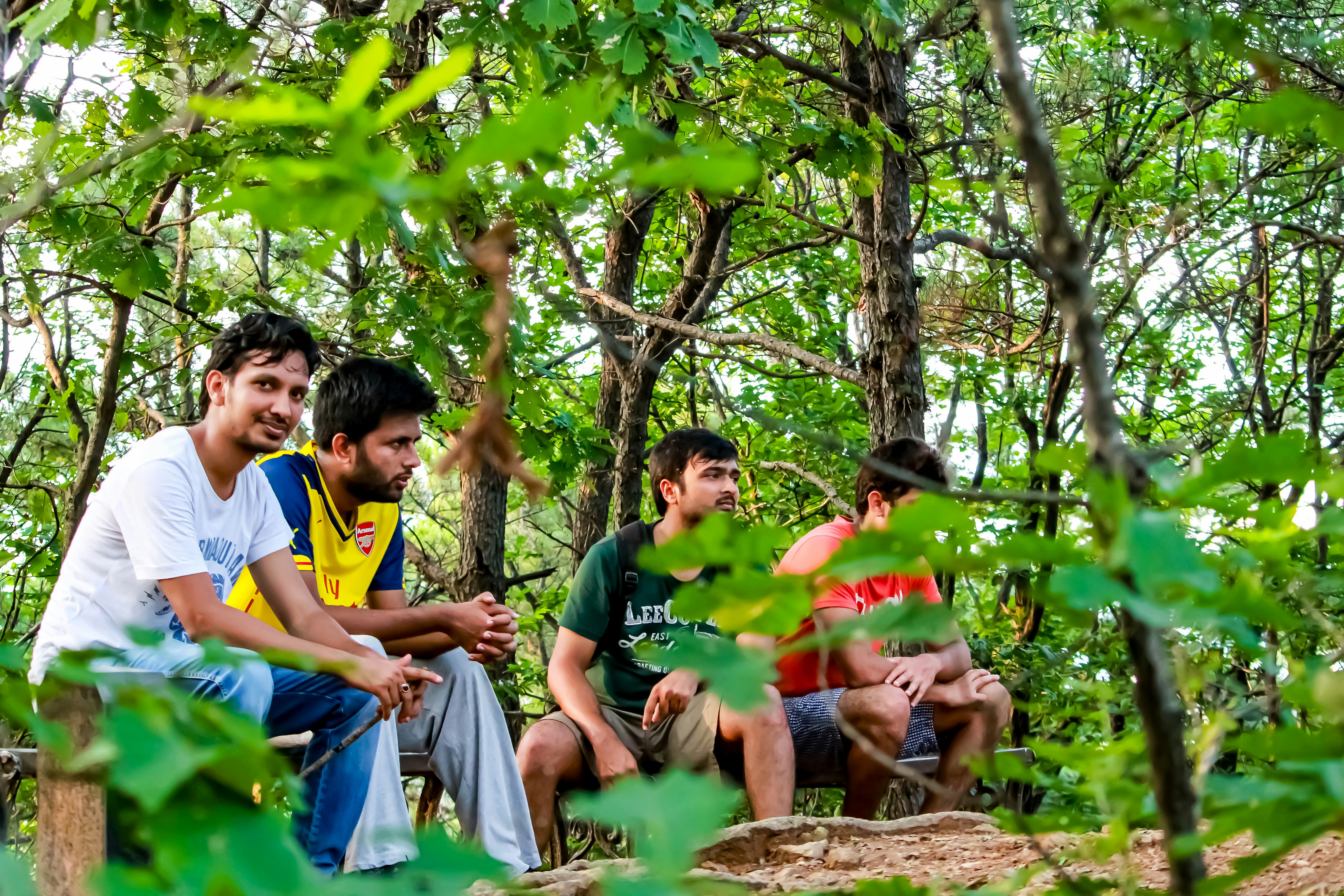 A group of people sitting on a bench in the woods