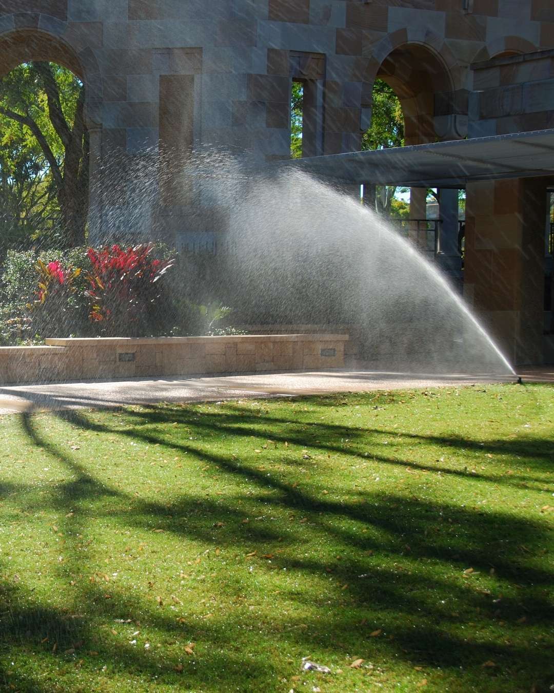 How Can We Help With Residential Tree Removal 