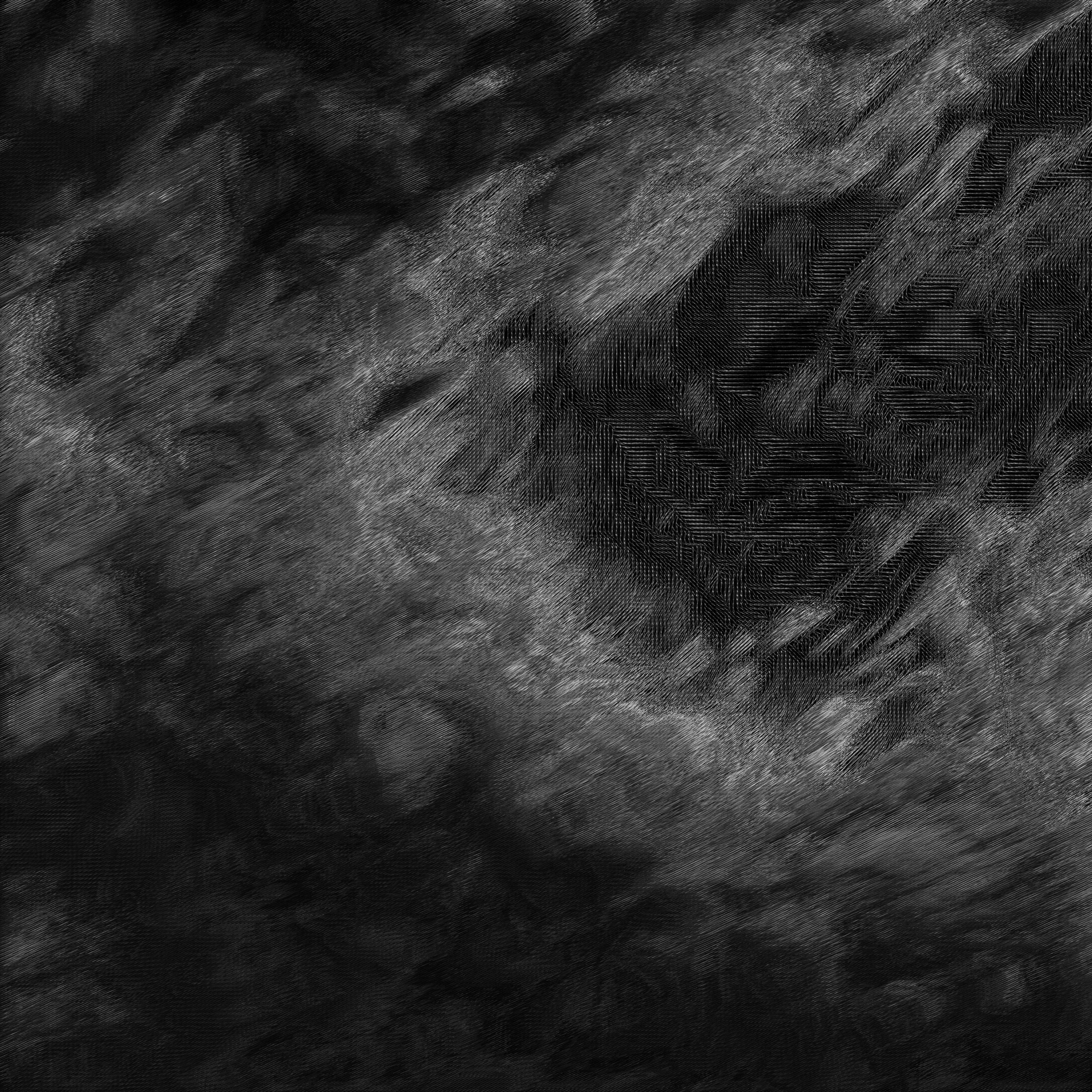 a black and white photo of a black and white background