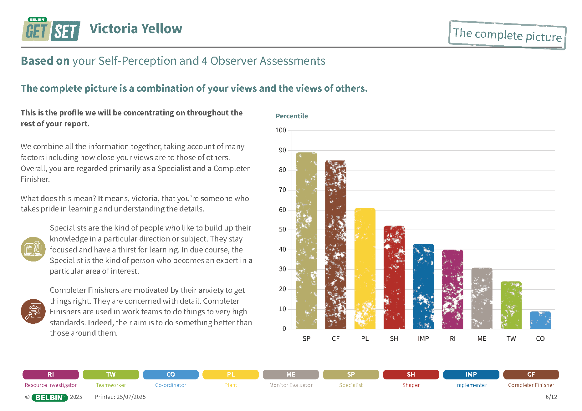Sample Belbin GetSet report: Victoria Yellow — Specialist and Completer Finisher