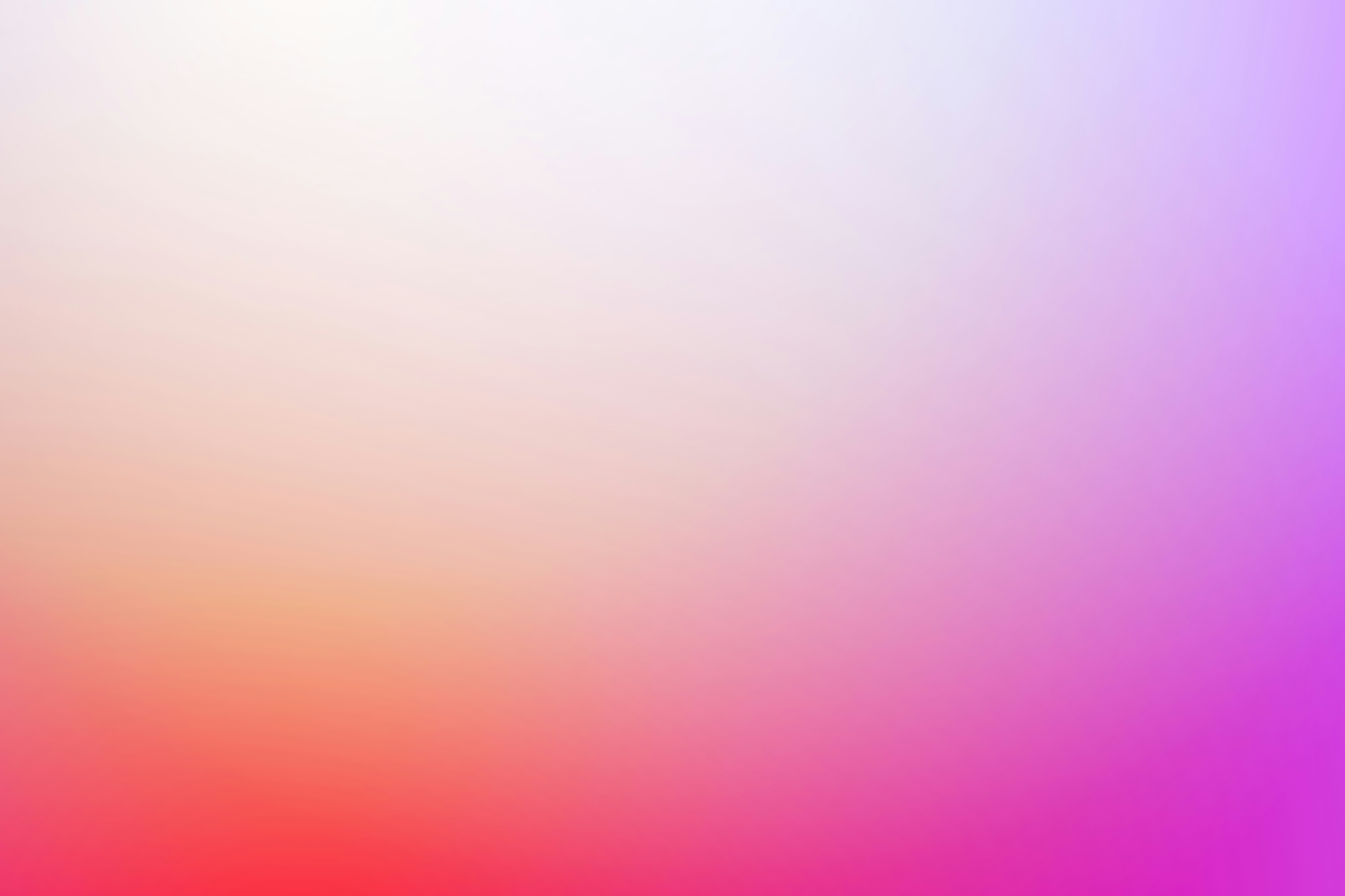 Close-up of a tree stump showing growth rings and a textured brown wood surface.