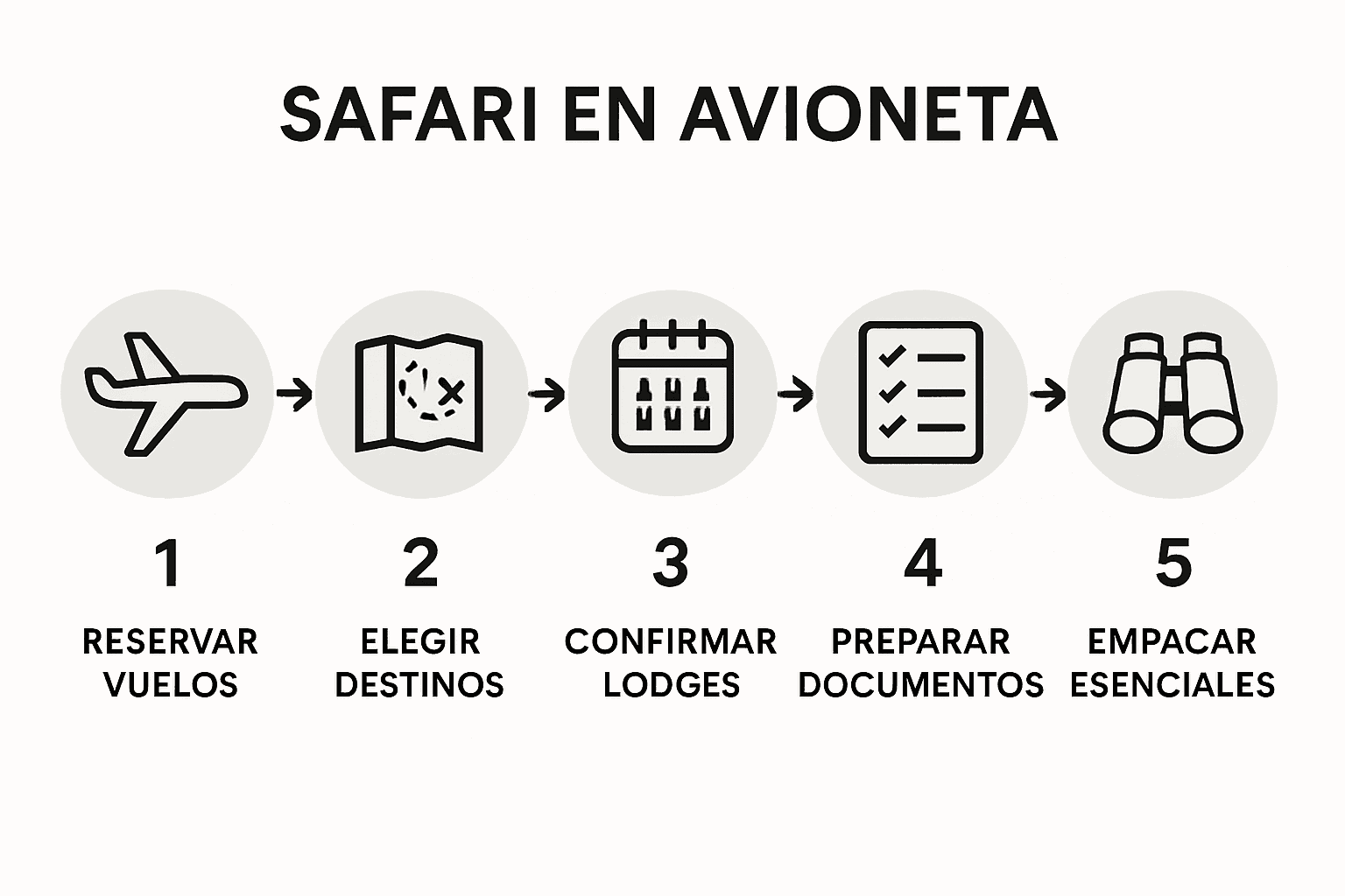 Infografía con todos los pasos que debes seguir antes y durante un safari en avioneta