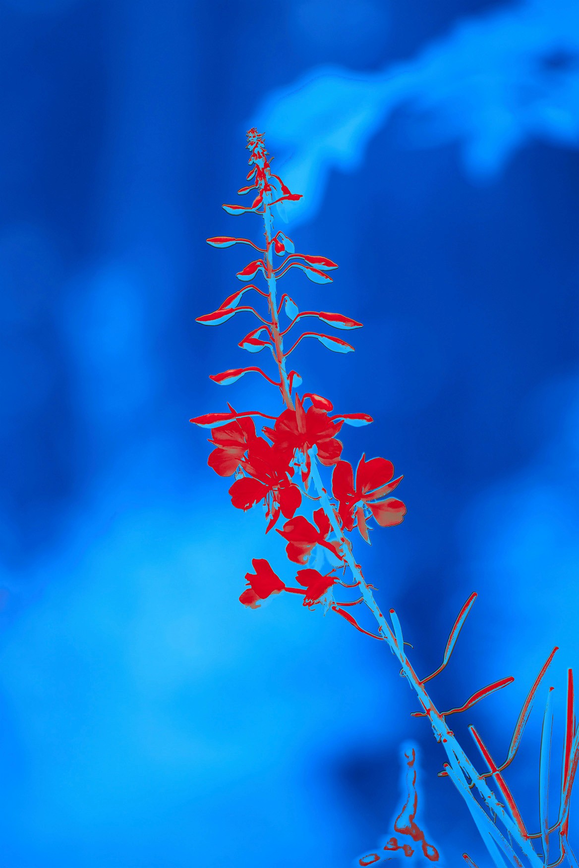 Abstract spatial structure examining perception and sensory architecture.