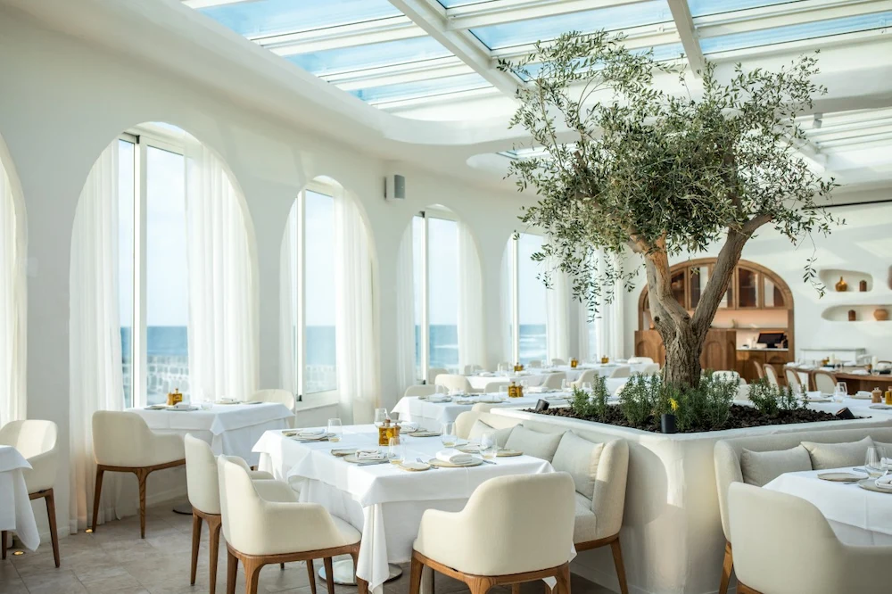 brown starfish on blue sand