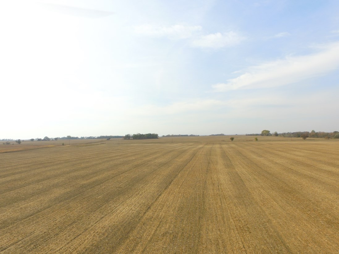 Emanuel - Main Image