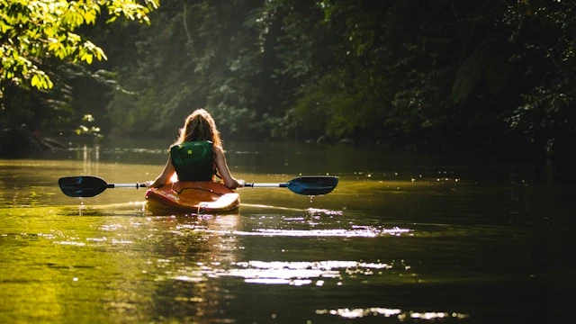 Person kayaking on a calm river surrounded by trees