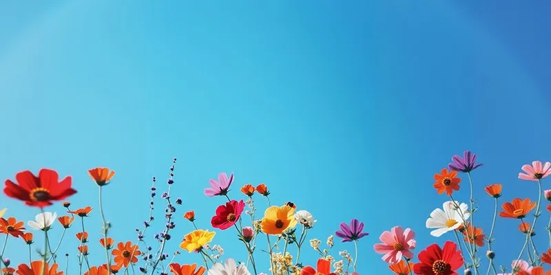 BG Image