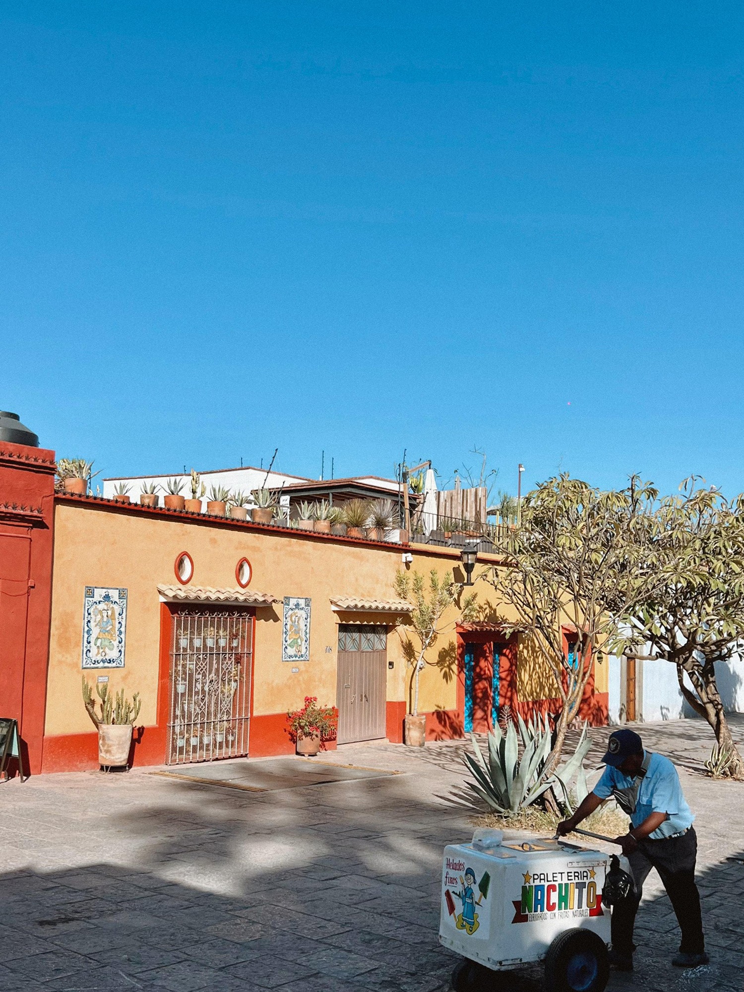Oaxaca City day trip from Puerto Escondido