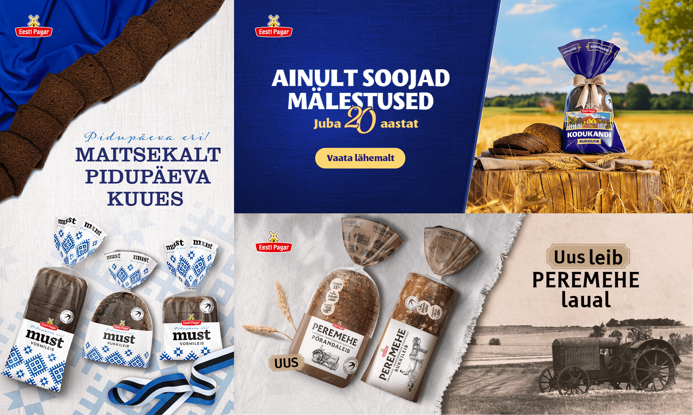 Project Content Image - 4