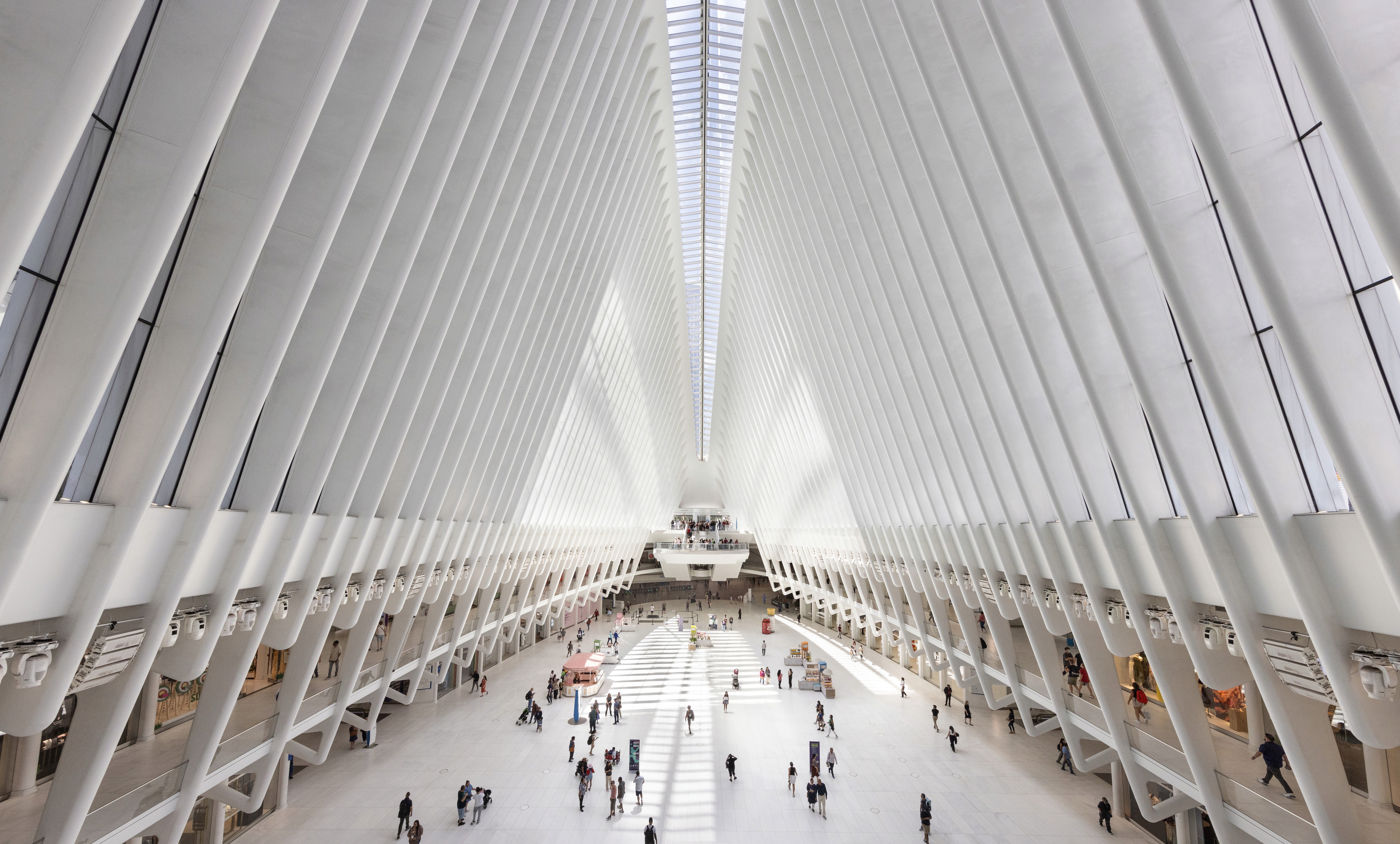 Dom Pérignon vineyards from the sky