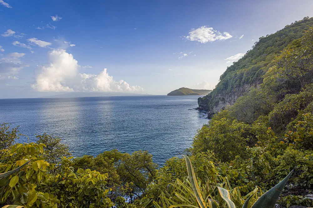 Aerial view of a private tropical villa with pool, palm trees, and lush green surroundings