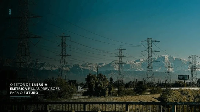 The electricity sector and its forecasts for the future