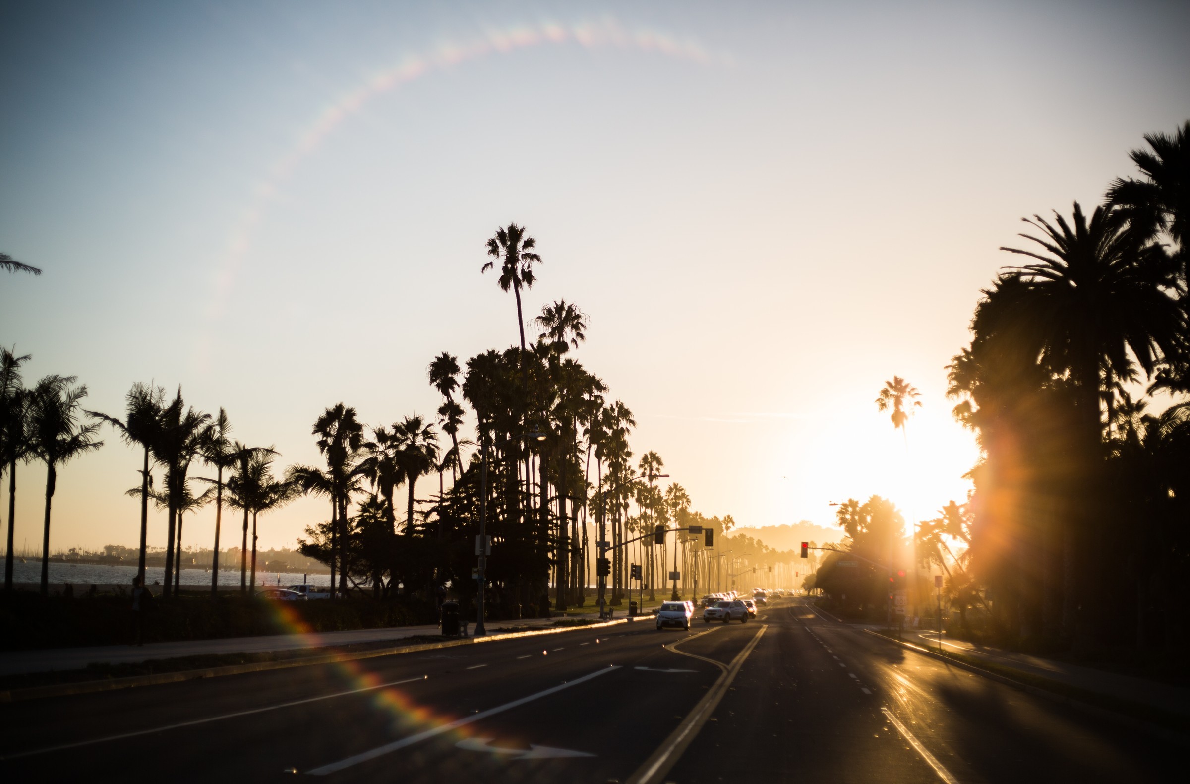 TRAVEL — Golden hour along a palm-lined road.