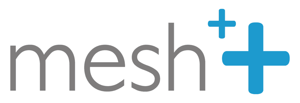 Company logo of Mesh plus plus