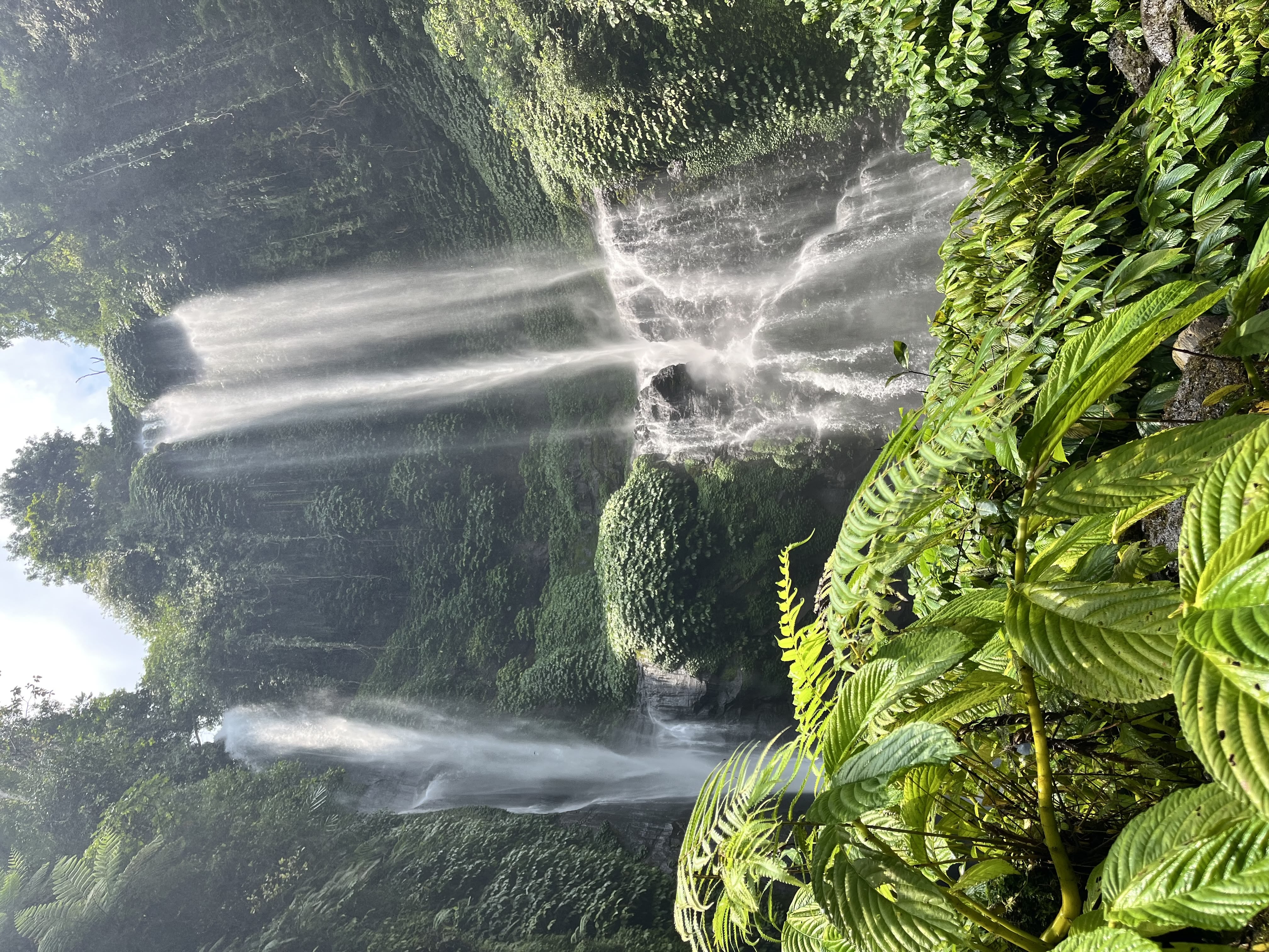 Smiling young woman with long hair standing against a dark green background, holding a finger to her chin.