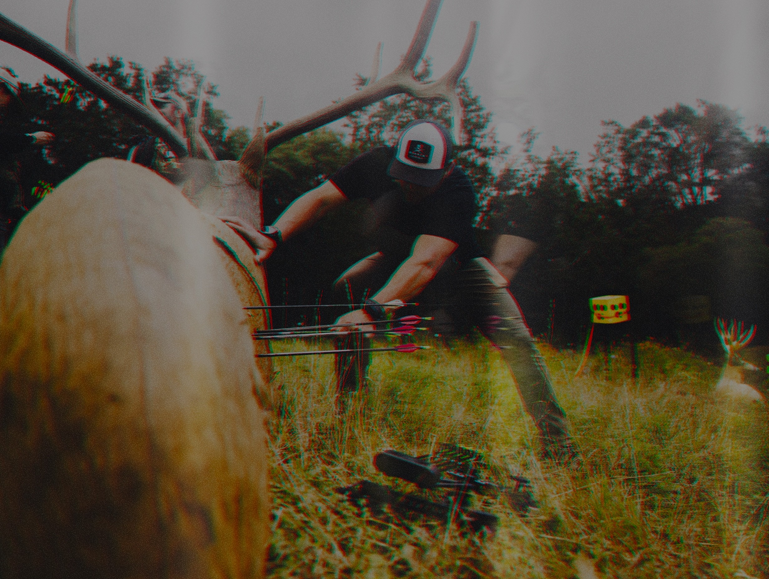 Abstract solo flower 