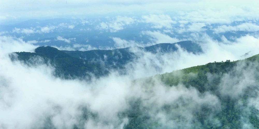 The Perfect Alternative to Munnar: Discover the Beauty of Kuttikkanam