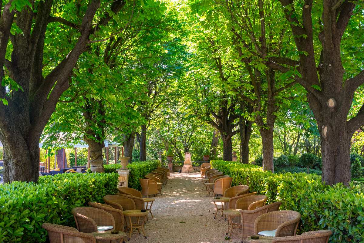 Rows of wicker lounge chairs face each other in a sun-dappled garden path lined with green hedges and large trees.