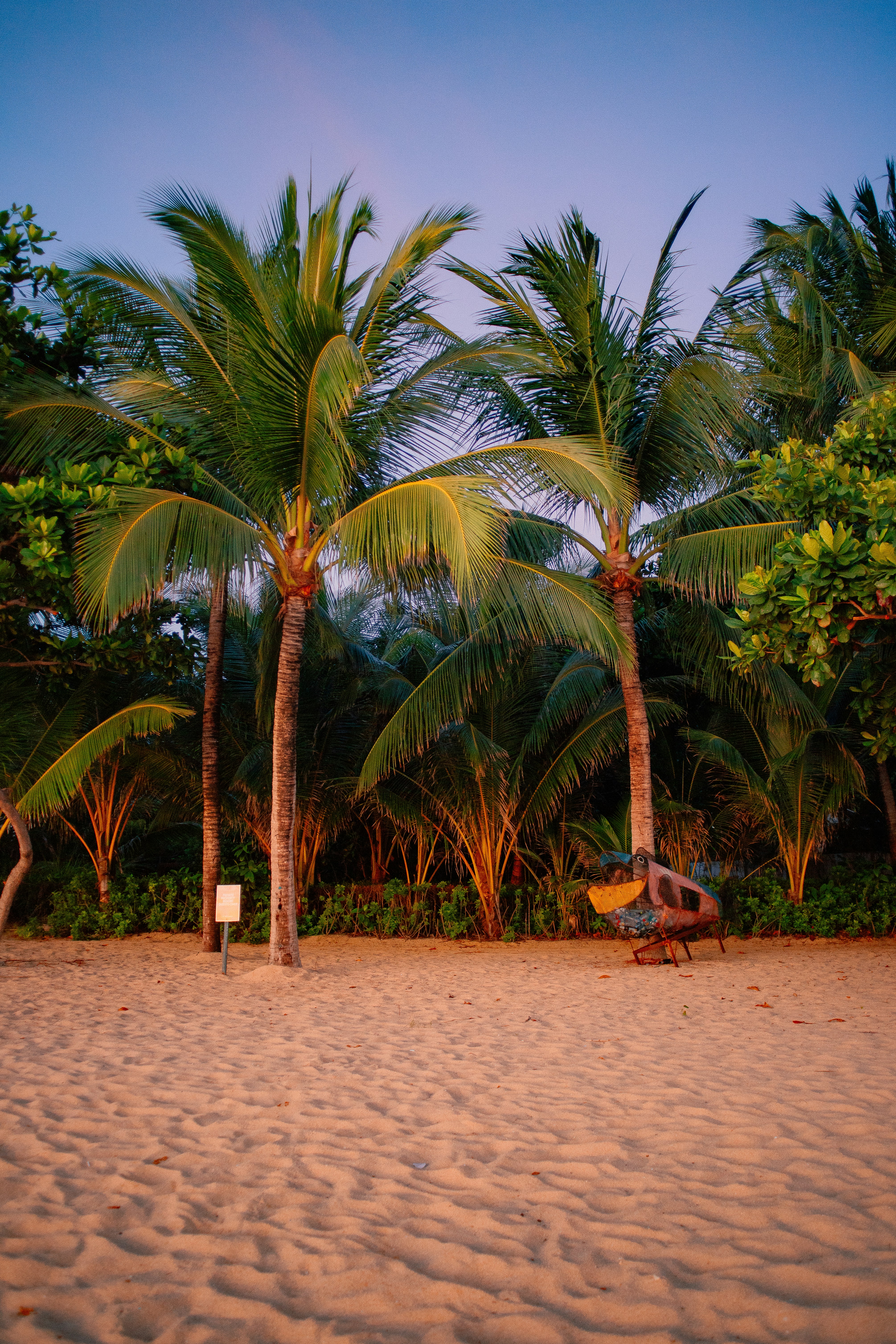 thialand palm tree beach, women's yoga retreat thailand 2025