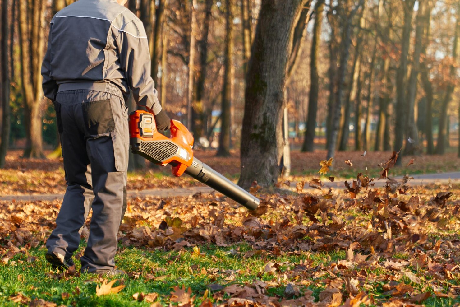 Employé utilisant un souffleur à feuilles dans un jardin boisé à l’automne.