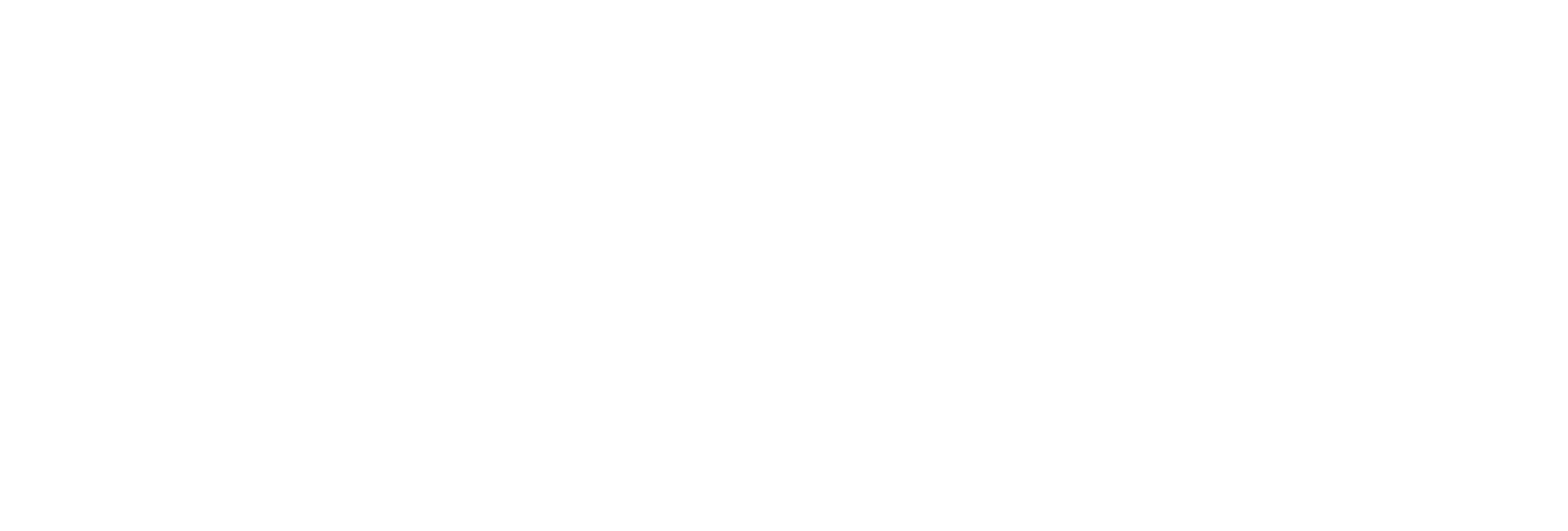 NativeAI Logo