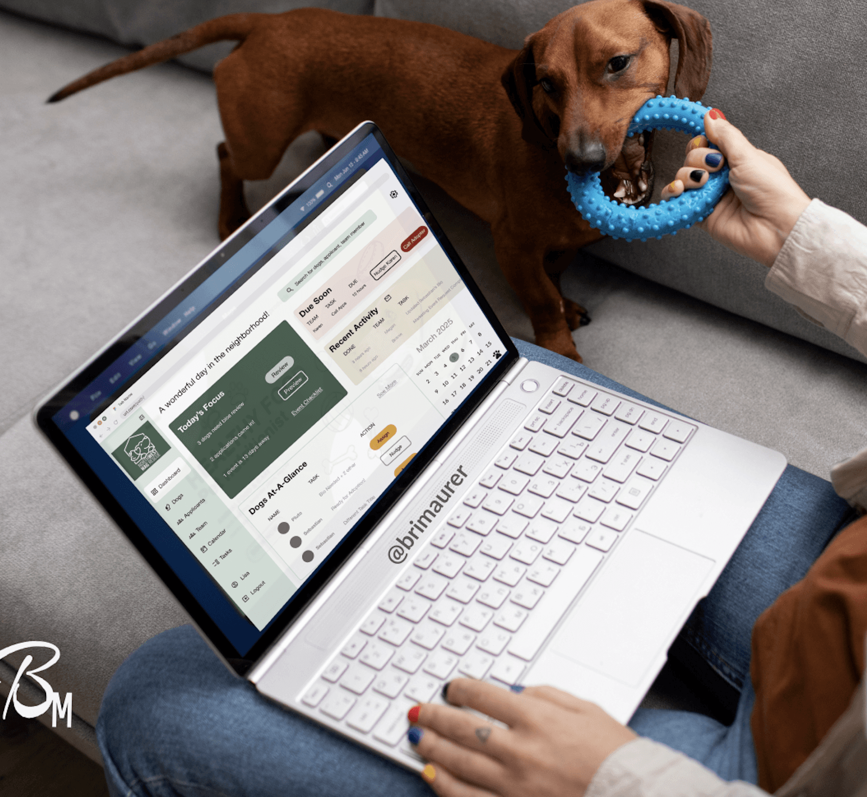 Dell laptop with design ops internal dashboard interface in brand colors of rescue