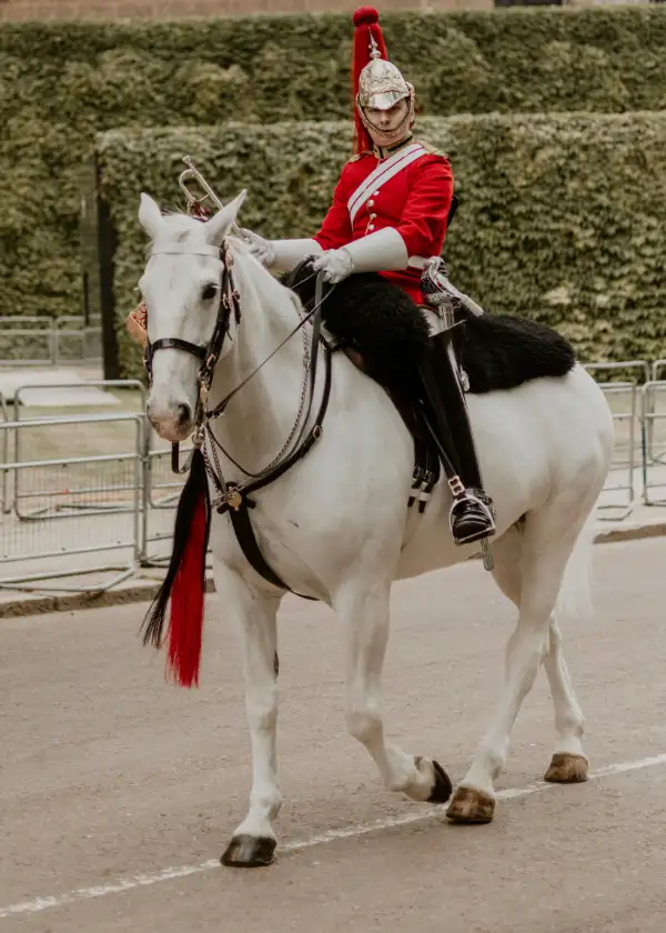 Étudiant français devant un lycée en Angleterre dans le cadre d'une immersion scolaire.