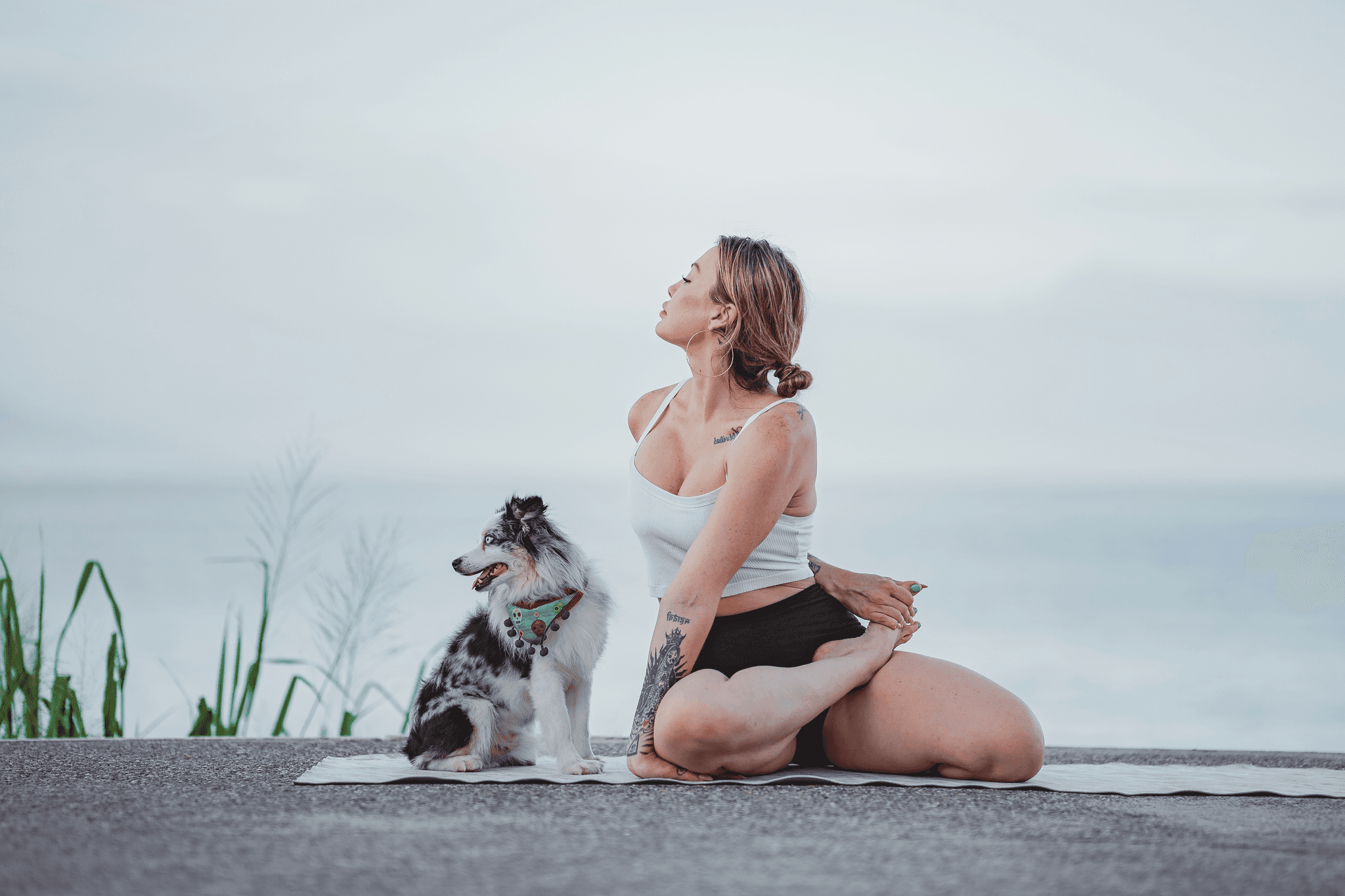a woman sitting on a rock with a dog