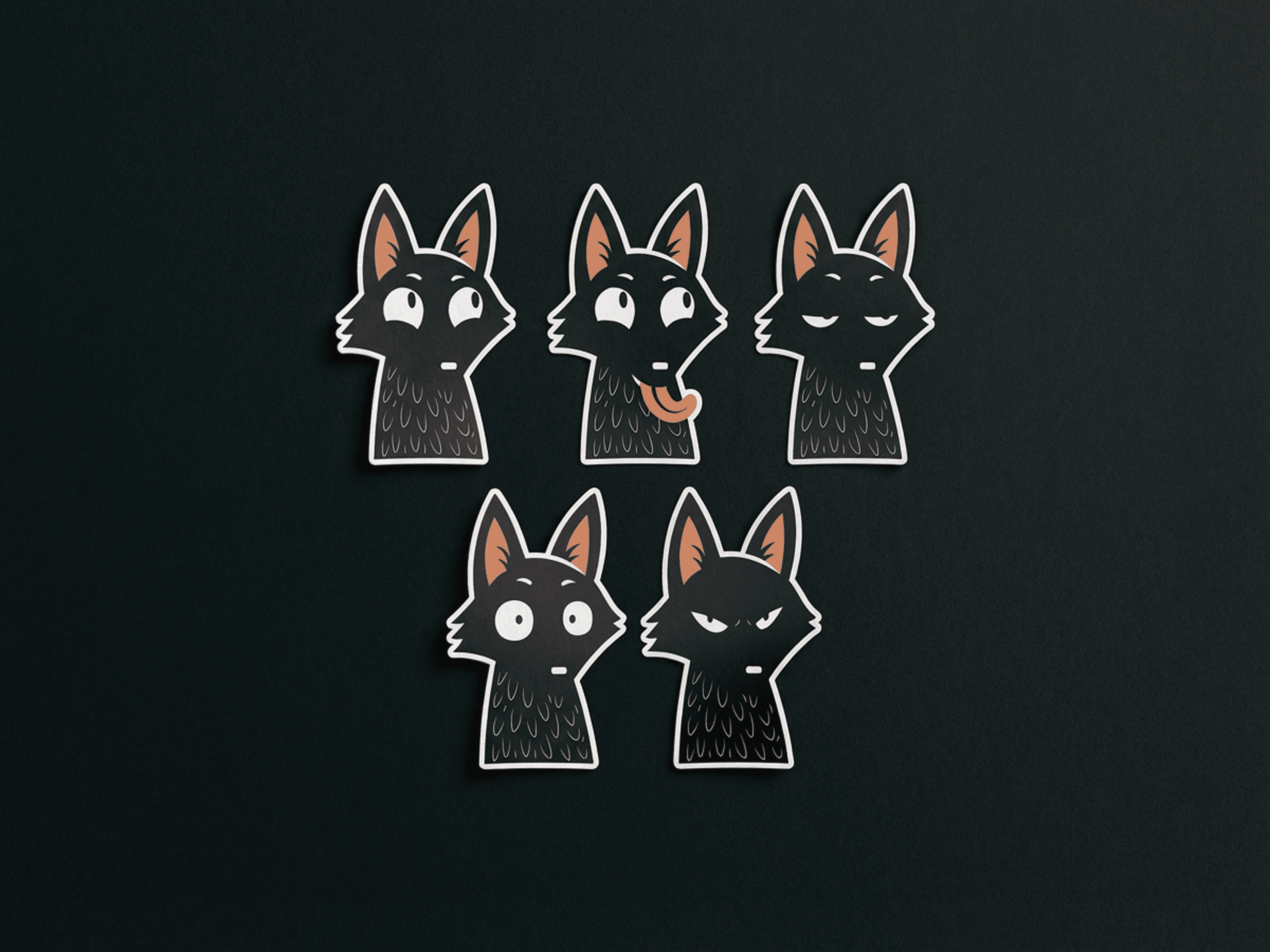 Presentation of work