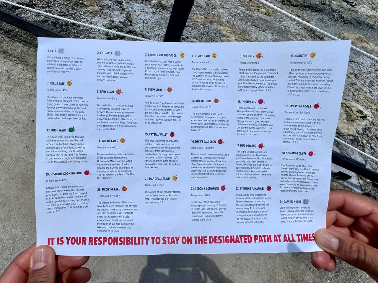 Points of interest along the geothermal walk at Hell's Gate, Rotorua