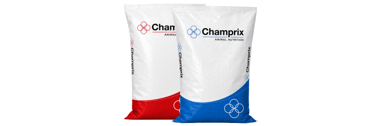 Champrix Bags New
