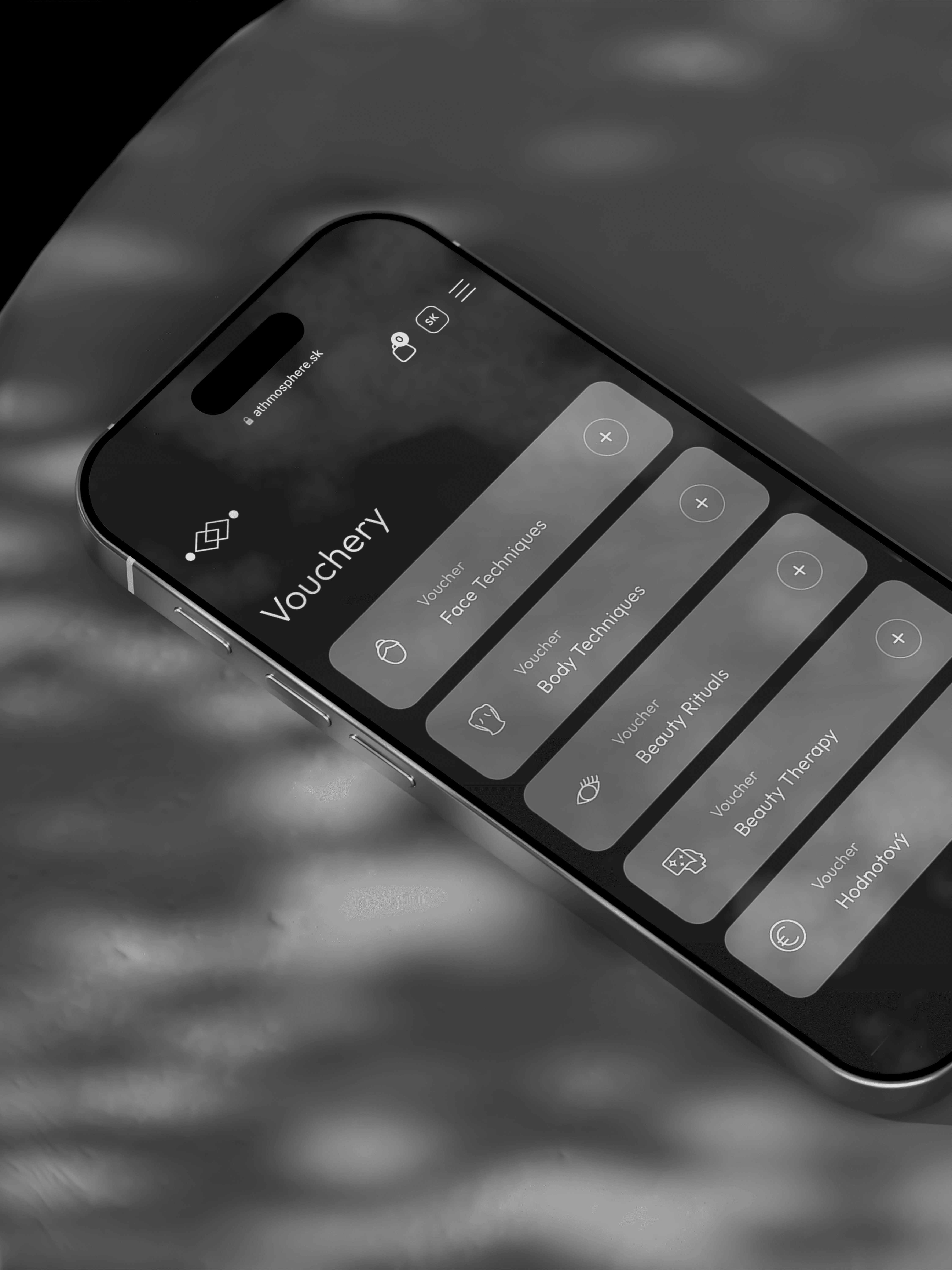 Dom Pérignon vineyards from the sky