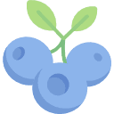 Mirtilli