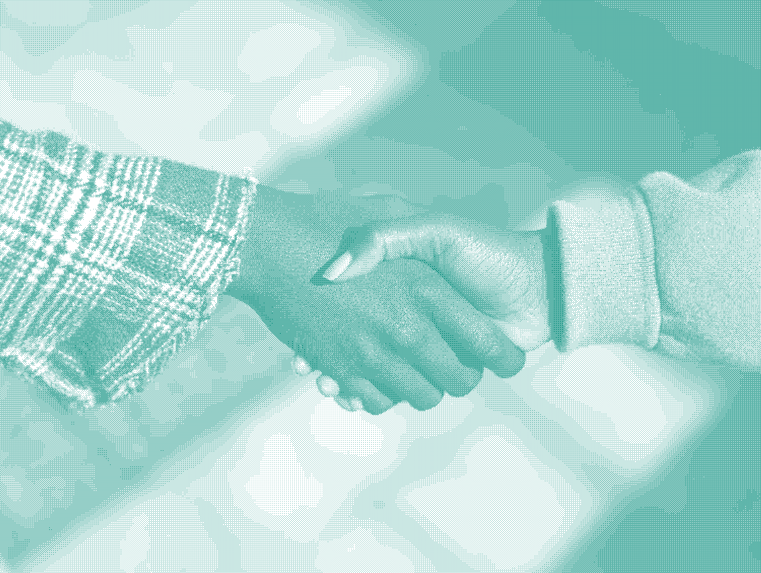 A handshake between two individual hands