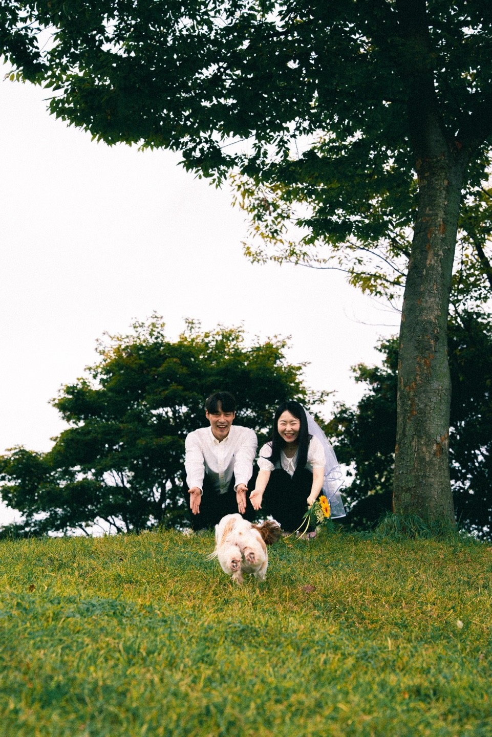 야외 만삭 및 반려견 웨딩 촬영 가이드 | 나참기대스냅