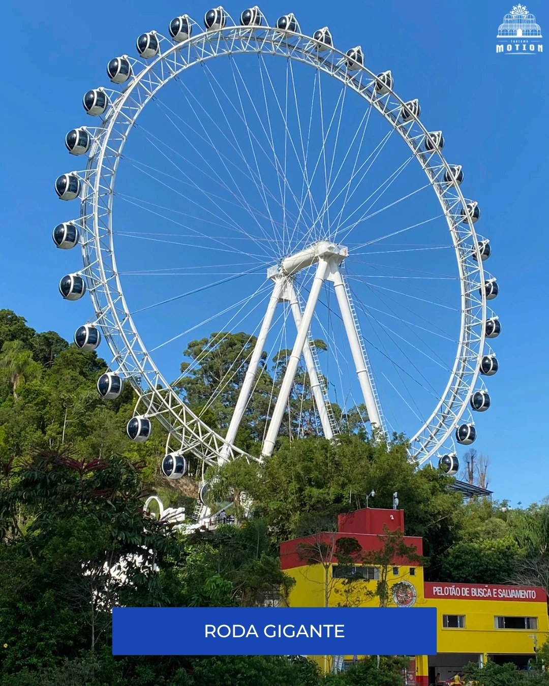 Roda Gigante  - Motion Turismo