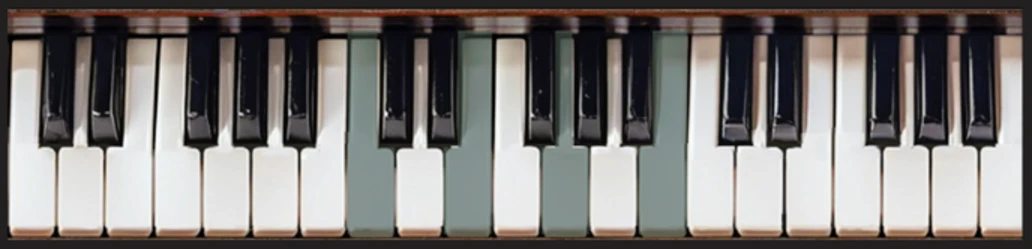 The live chord input on the keyboard