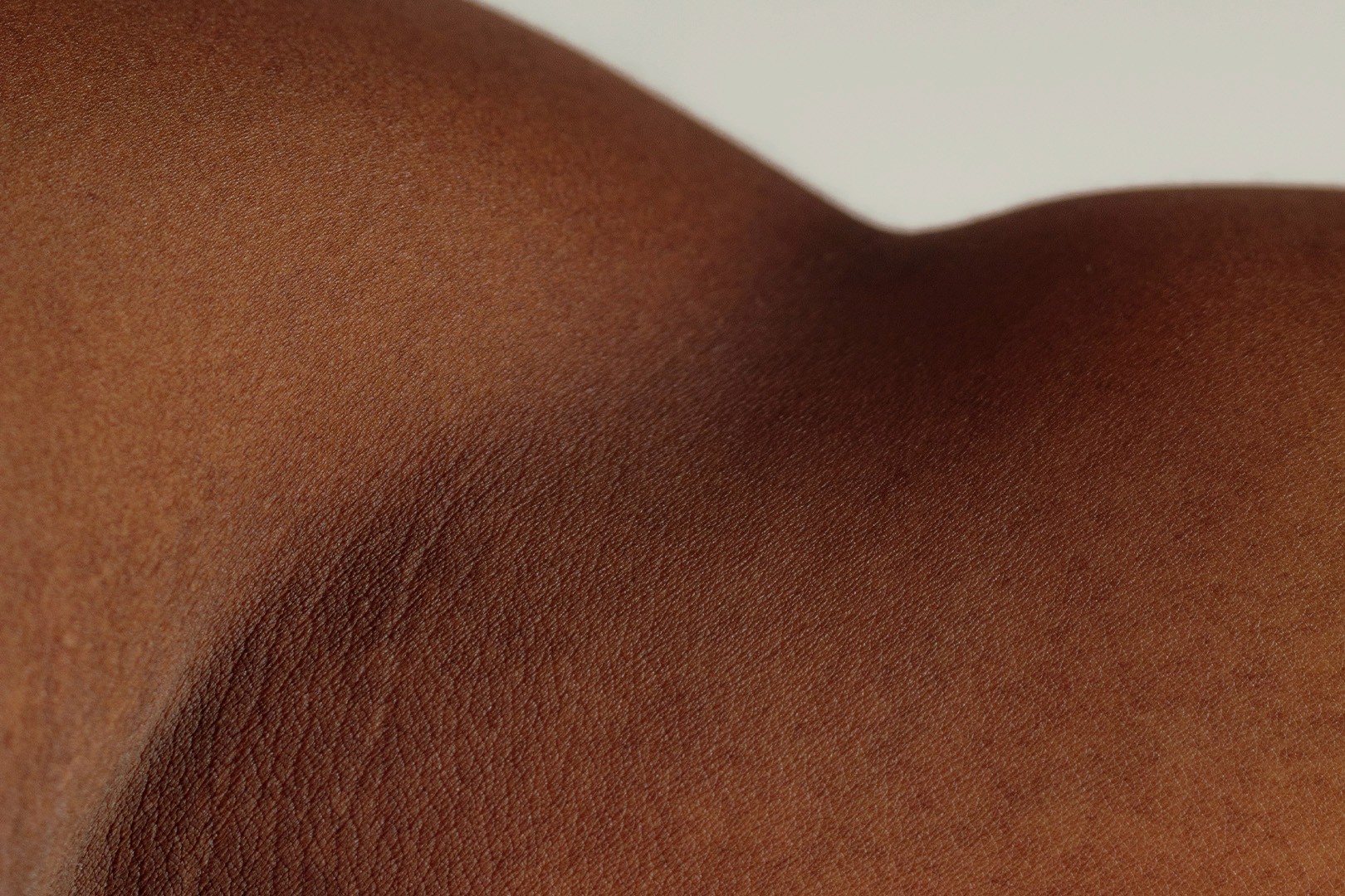 Lustre x Candly scented candle in olive green glass jar with matching box displaying scent notes of papyrus, camomile, cardamom, ambra, galbanum, and sandalwood.