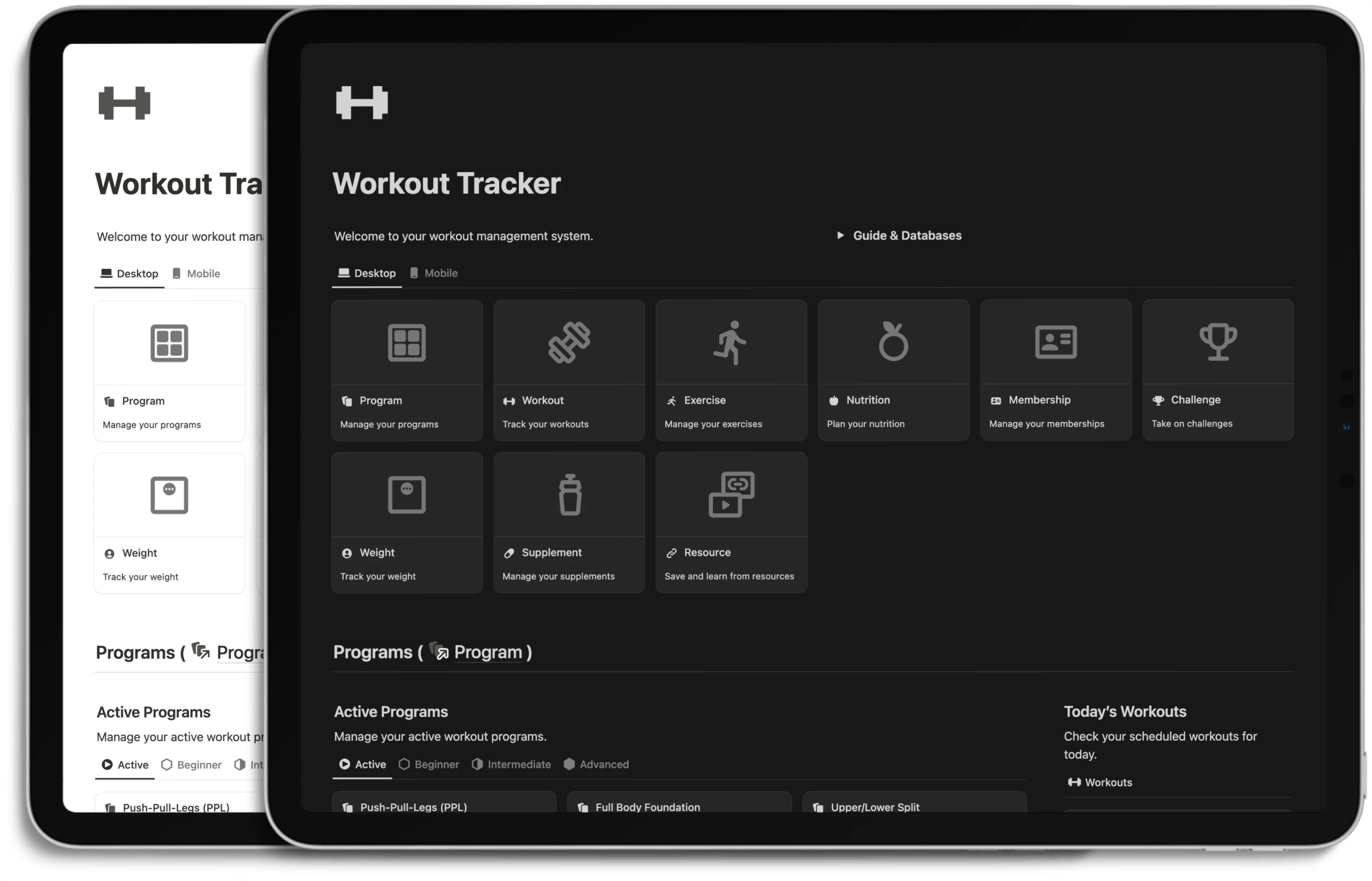 Notion Workout Tracker - Light/Dark Mode