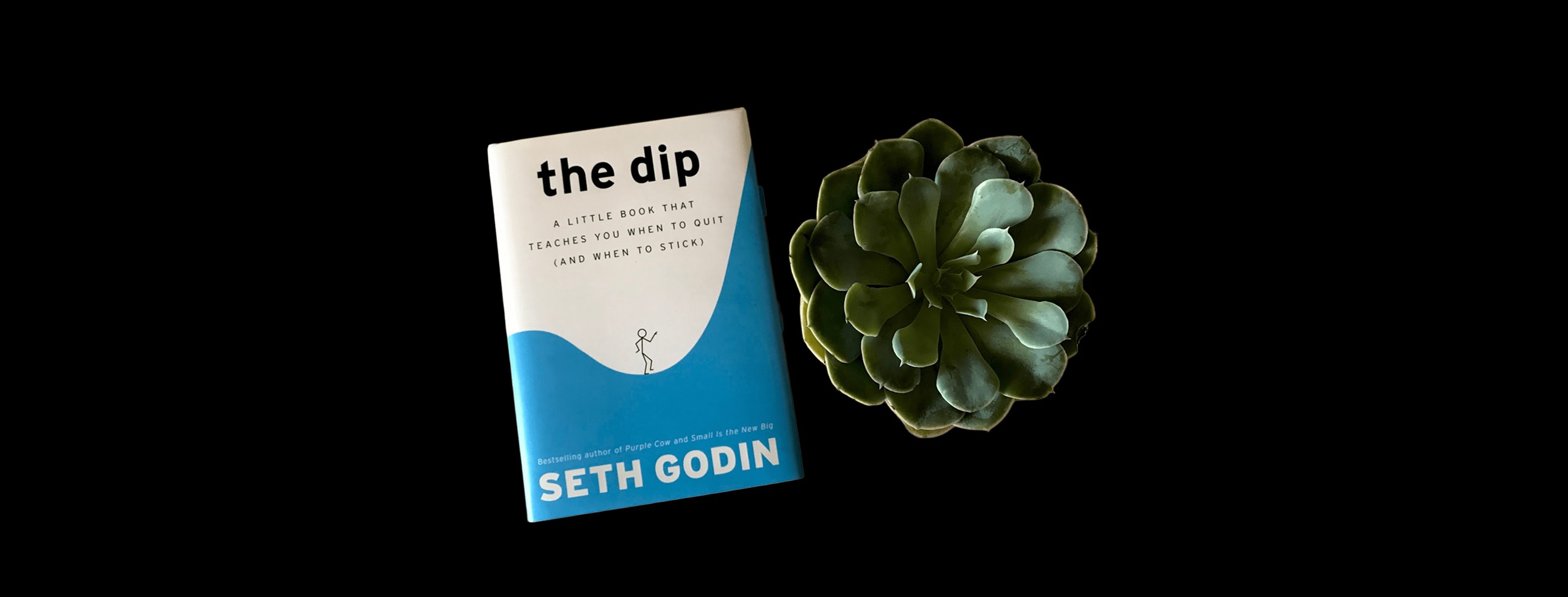 the dip by seth godin