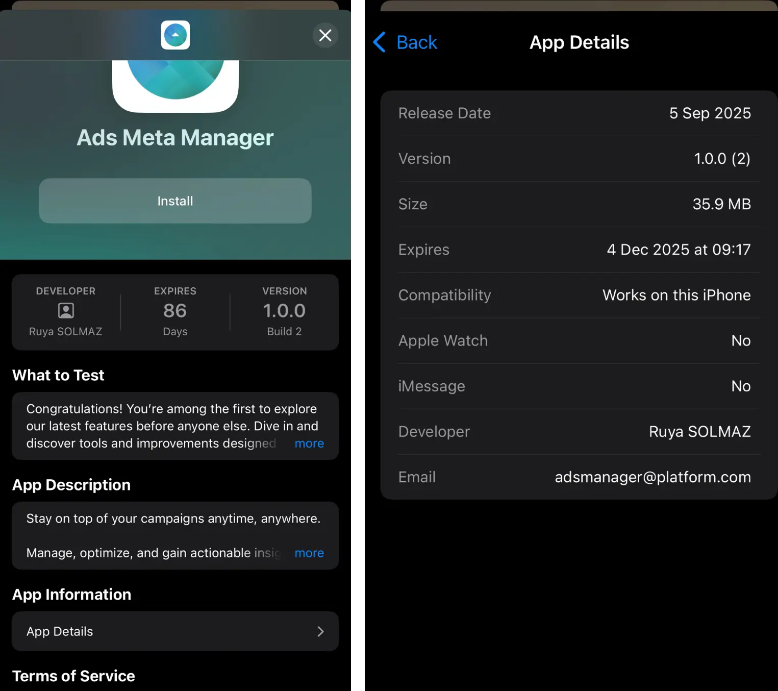 The real Apple TestFlight install screen for the counterfeit “Ads Meta Manager,” complete with a developer name and expiry date. Trusted distribution, malicious intent.