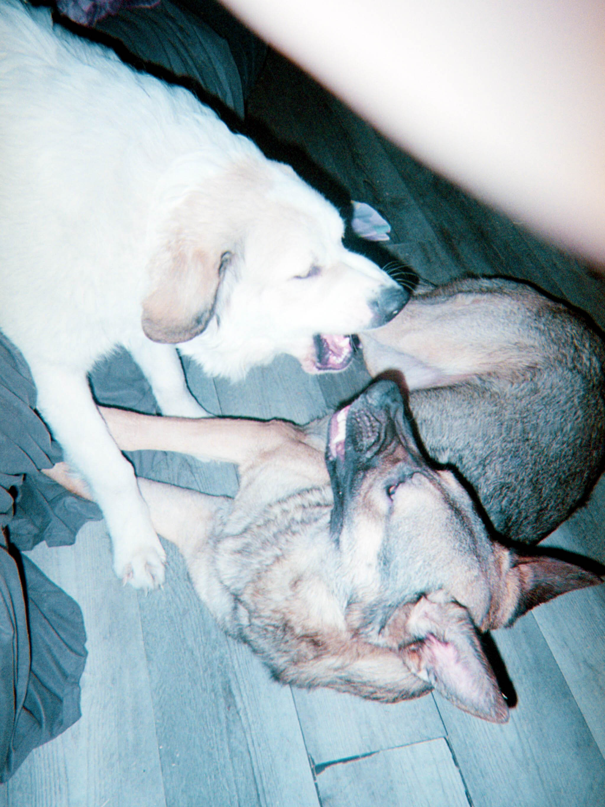 Photograph title Copy Copy Copy Copy Copy Copy Copy Copy Copy Copy