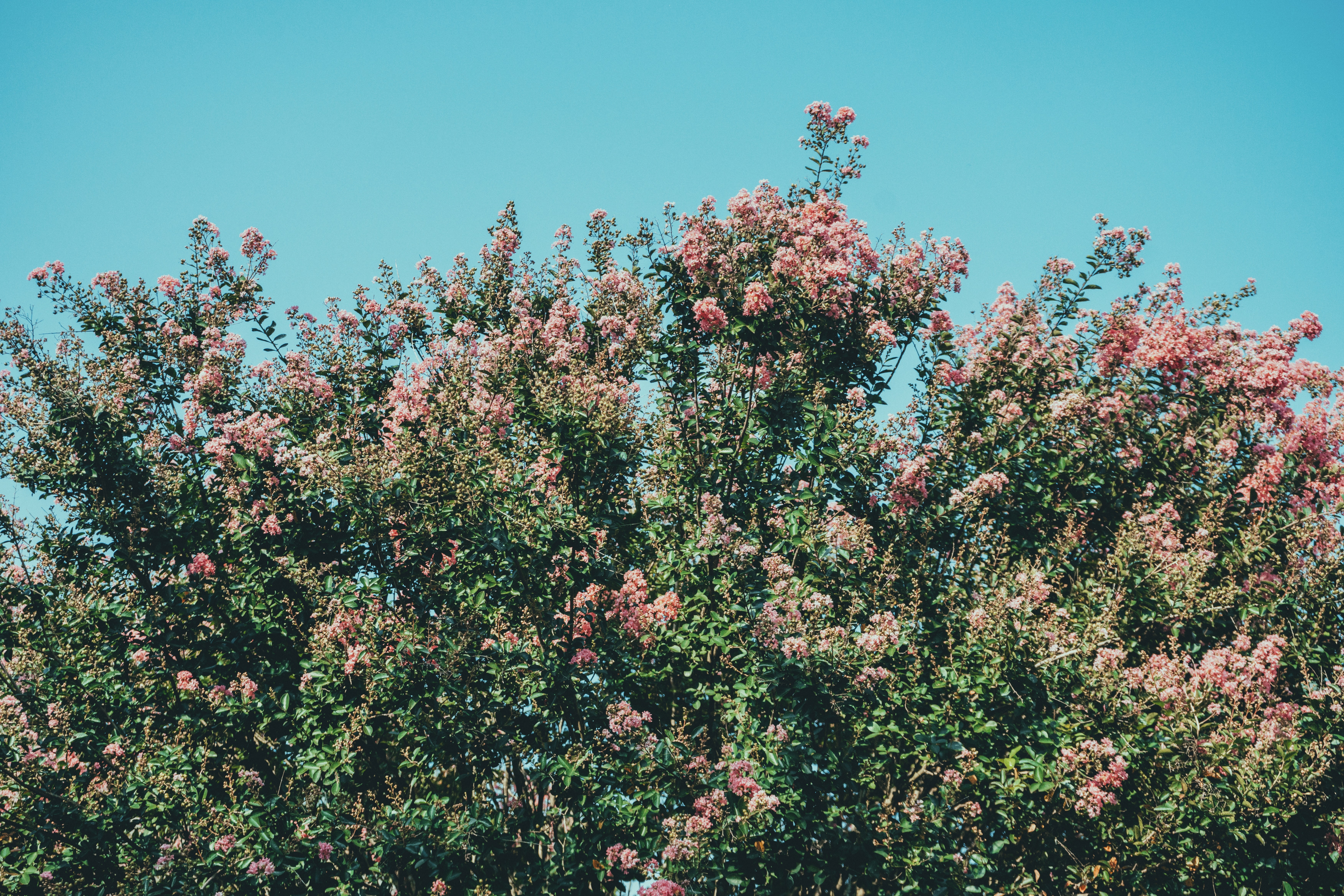 low angle photography of building