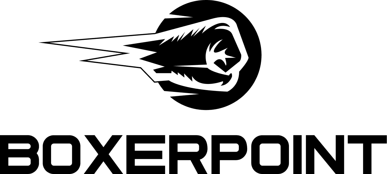 Boxerpoint logo