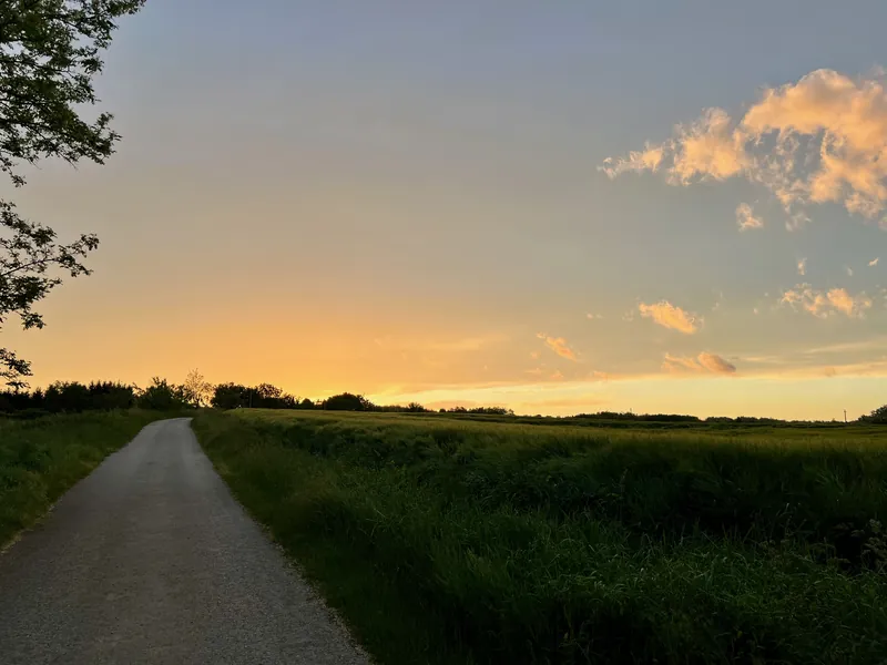 Naplemente a méhészetnél