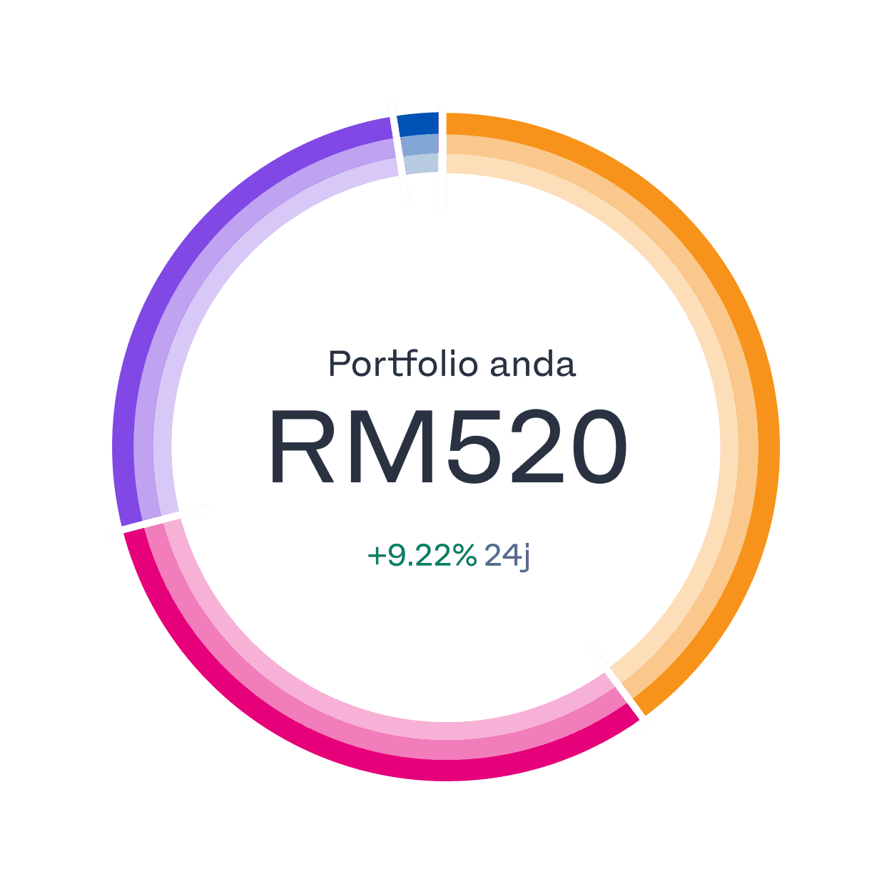 portfolio ring breakdown