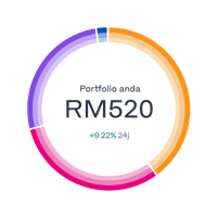 portfolio ring breakdown