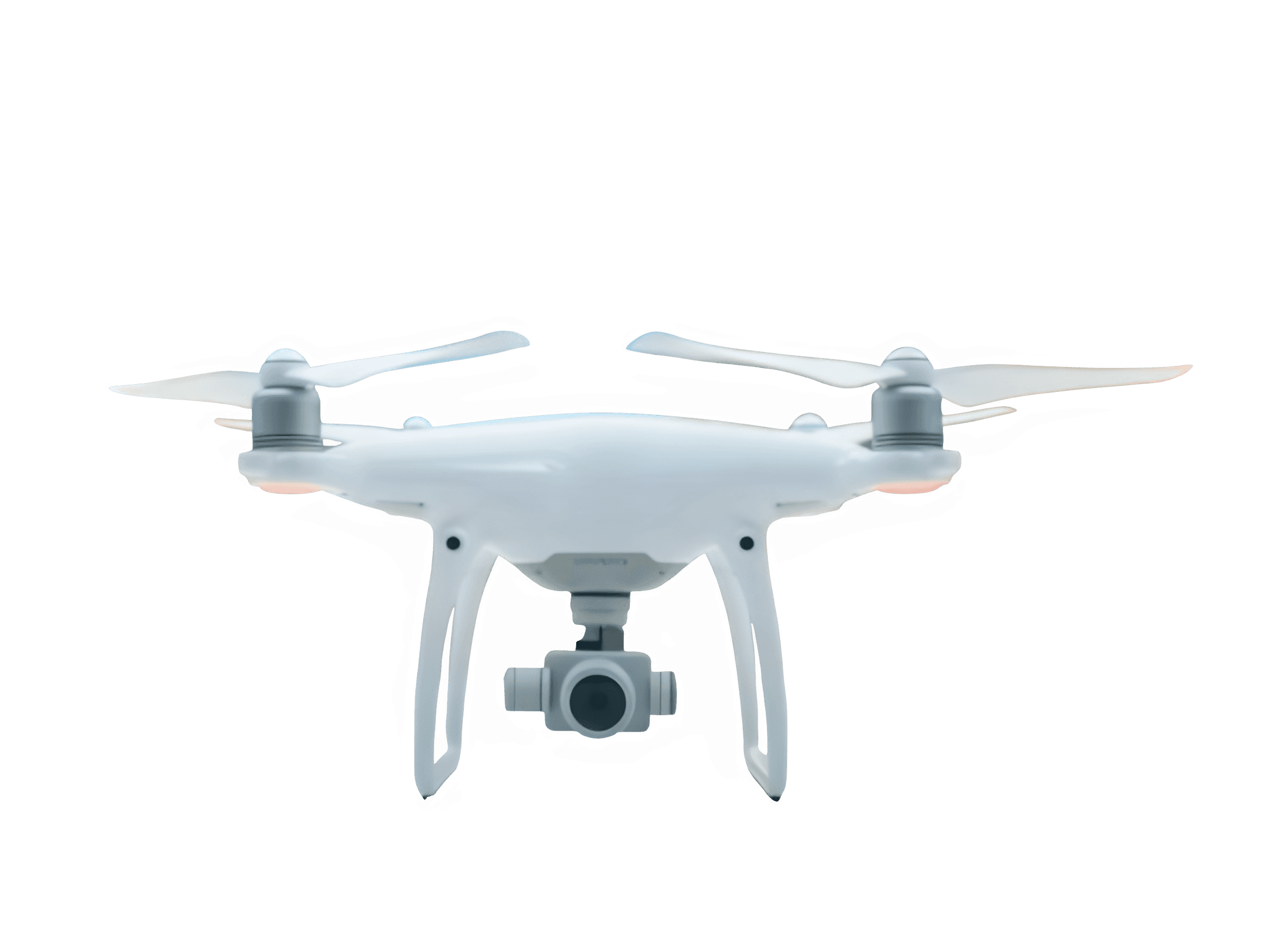 Vector