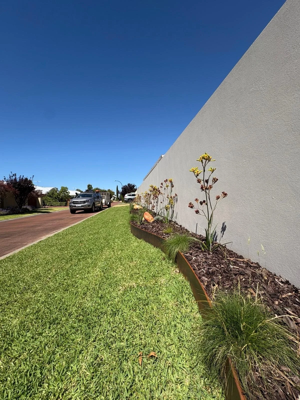 Natural lawn beside a curved, planted steel-edged garden bed.