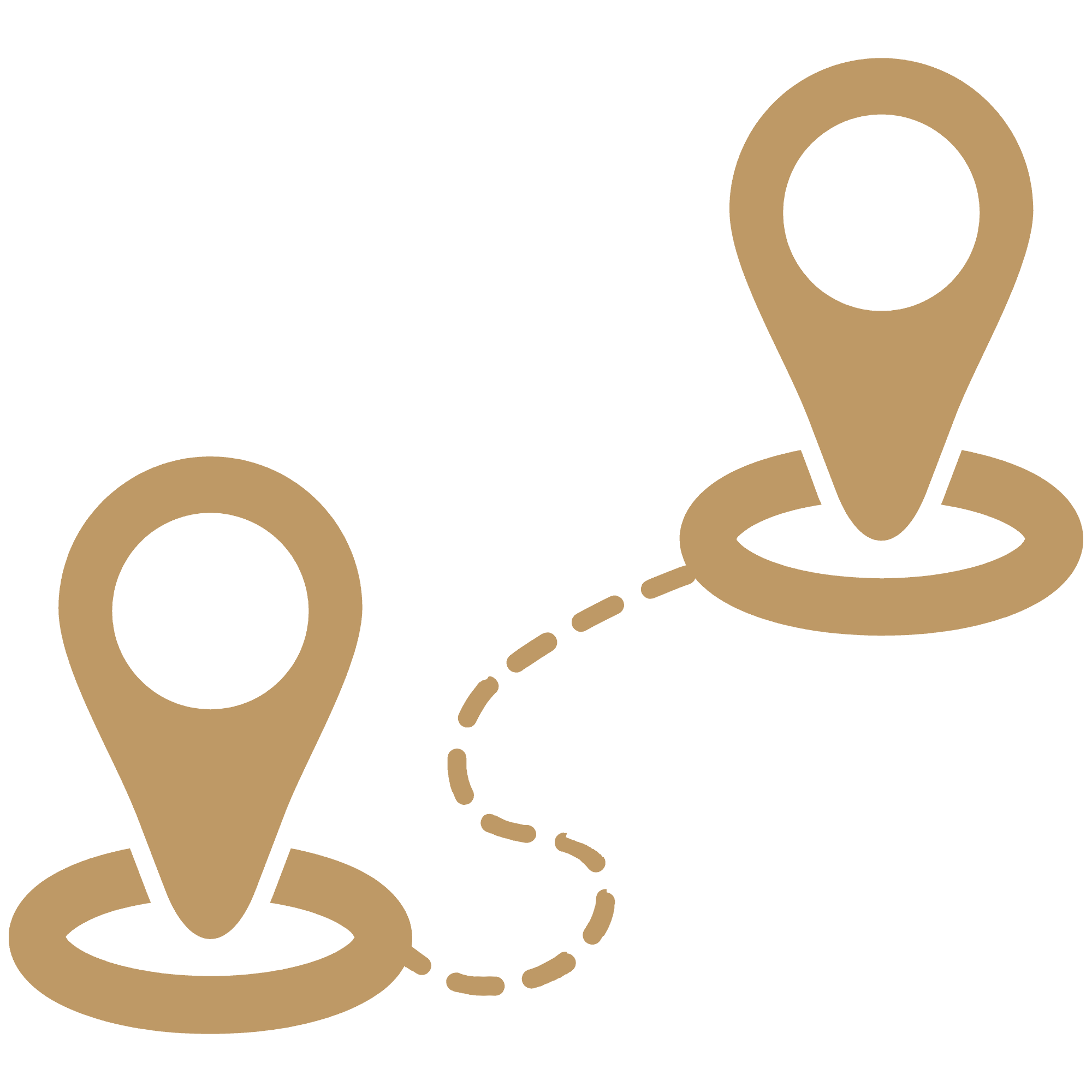 Icon Primary